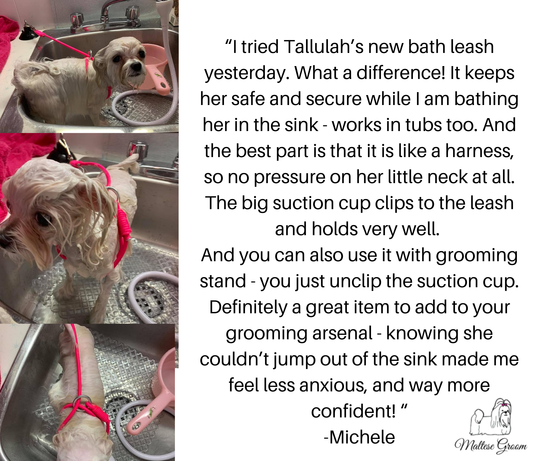 Dog Grooming Leash for Bathing Tub & Grooming Table - Image 4